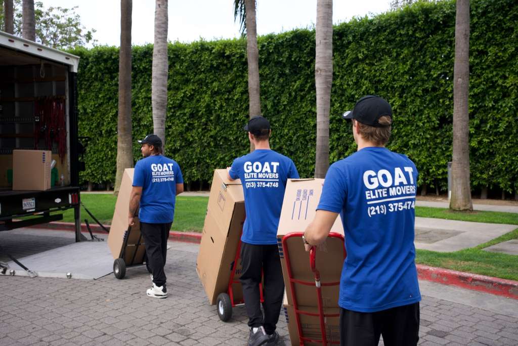 Crew walking with boxes, GOAT shirts from the back